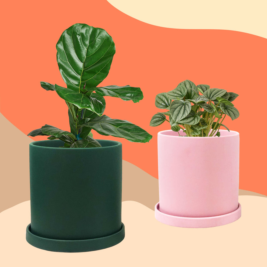 Hunter Planter Pot