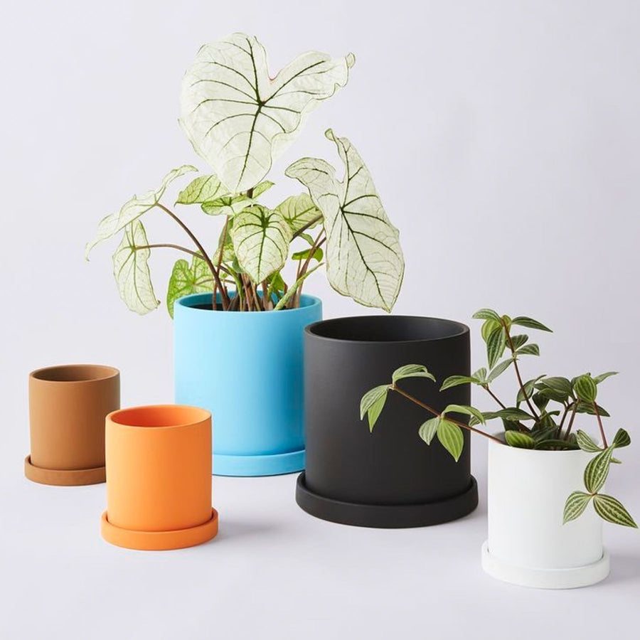 Cloud Planter Pot